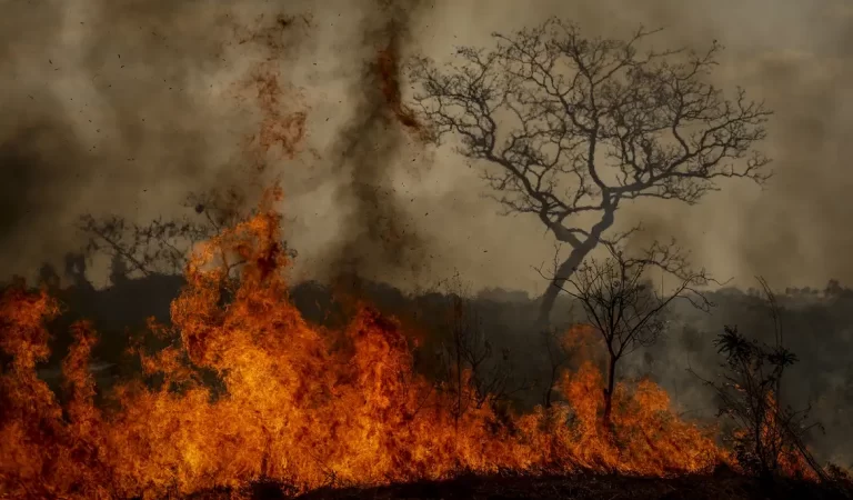 Desastres climáticos aumentaram 250% nos últimos quatro anos no país 